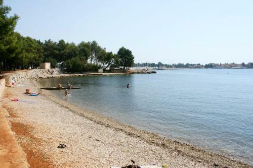 Apartment Novigrad 6936c