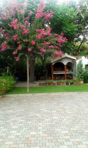 Apartment Magnolia