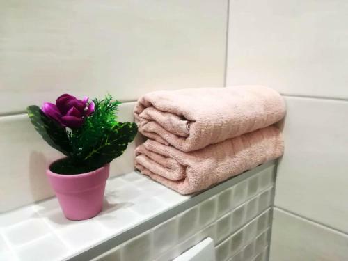 Apartments Amio
