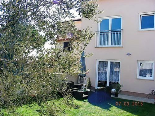 Apartment In Novigrad/istrien 9642