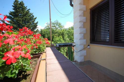 Hostal Apartment Poljak Njivice