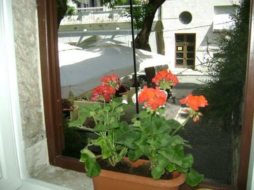 Apartamentos Studio Pistura
