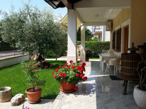 Nevija B&B