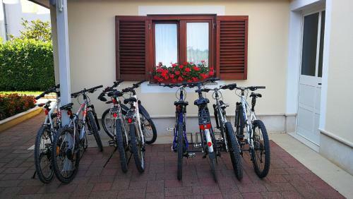 Nevija B&B