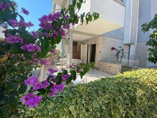 Apartment Dilba