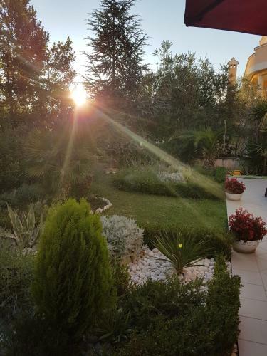 Apartamentos Villa Jelena