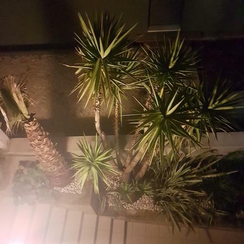 Apartamentos Villa Jelena