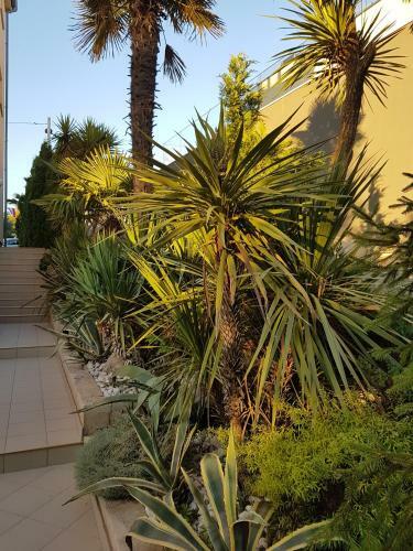 Apartamentos Villa Jelena