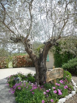 Hotel La R�sidence Du Moulin