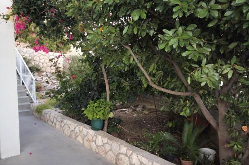 Apartment Hvar 5687c