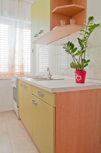 Apartments Ruzic