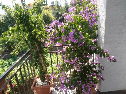 Hostal Guesthouse Stanger Lovran