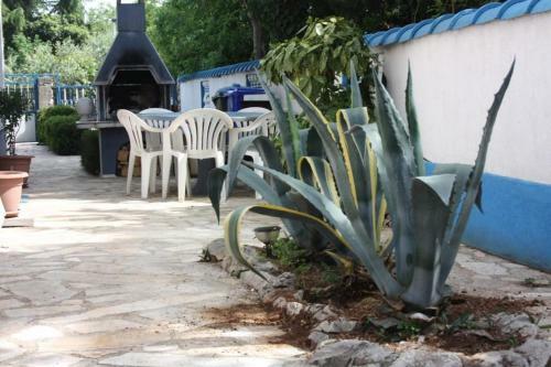 Apartment Biograd Na Moru 6201c