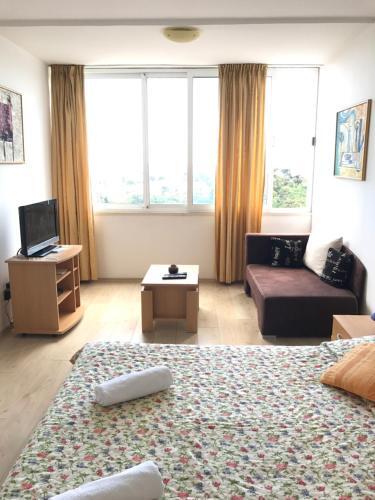 Apartamentos Studio Anga