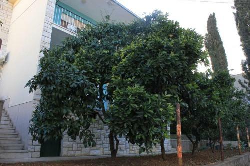 Apartment Mastrinka 7582a
