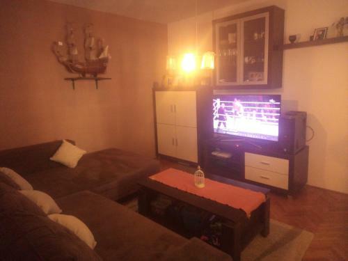 Apartments Salamun