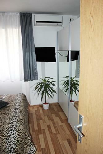Apartamentos Villa Helena Glamour