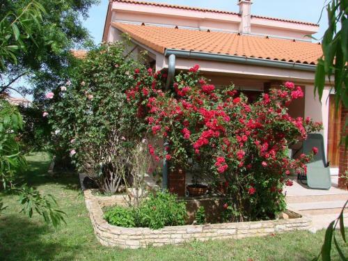Villa Rose Garden Apartment