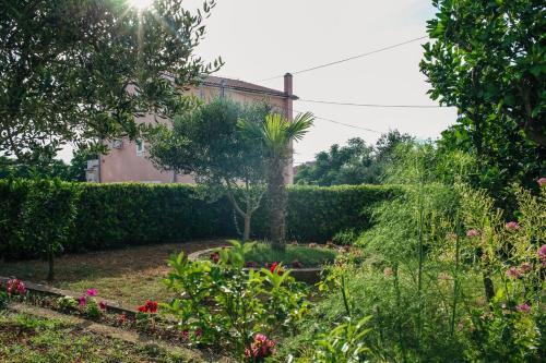 Apartment Novalja 6482a