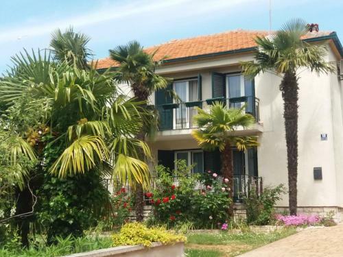 Apartments Palm House