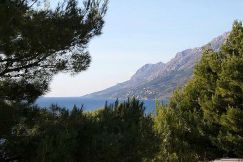 Apartment Brela 6006b