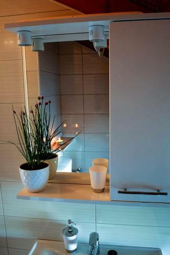 Apartment Marko
