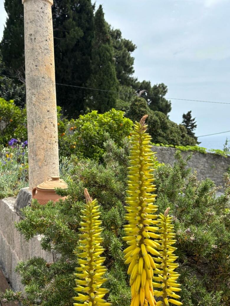 Hostal Villa Anica