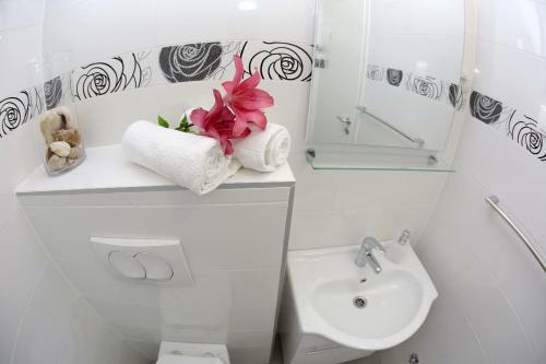 Hostal Rooms Tisa Old Town