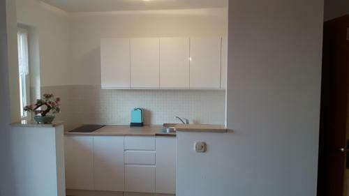 Apartment Ivan