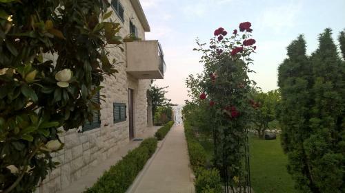 Apartments Dr. Vlasic