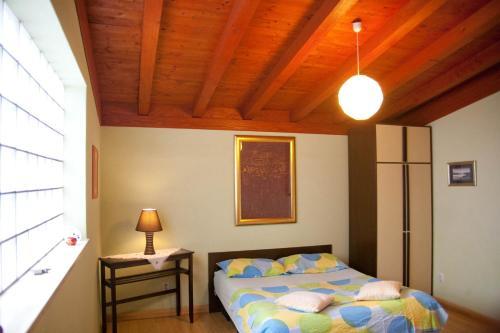 Hostal Guesthouse Lion