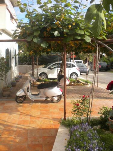 Apartments Miani