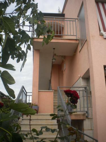 Apartments Miani