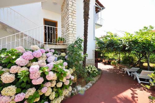 Hostal Guest House Ab Adria Home