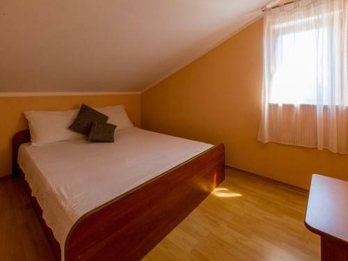 Apartment Alin