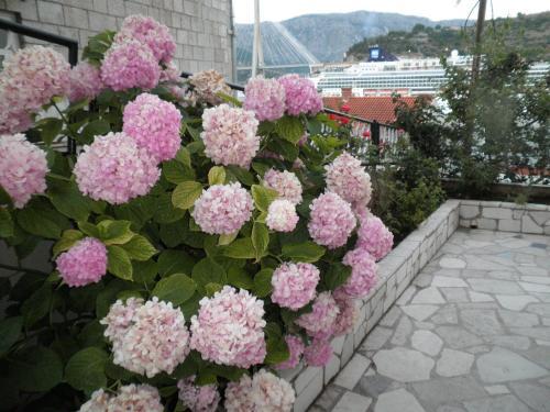 Hostal Guest House Marica