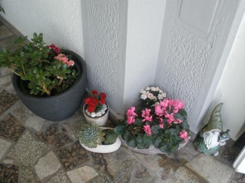 Hostal Apartmani I Sobe Mara