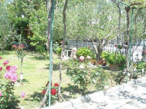 Hostal Apartmani I Sobe Mara