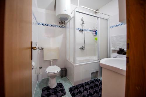 Apartment Rogi?