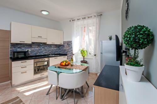 Apartment Rogi?