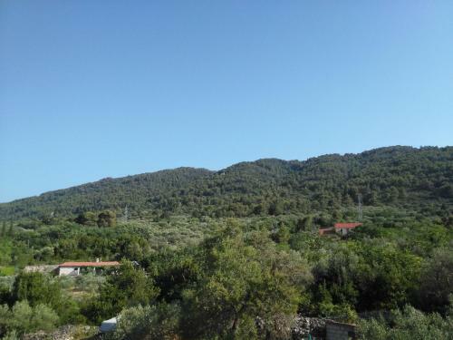 Apartment Mandalina House