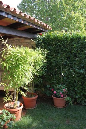 Apartment Novigrad 7121b