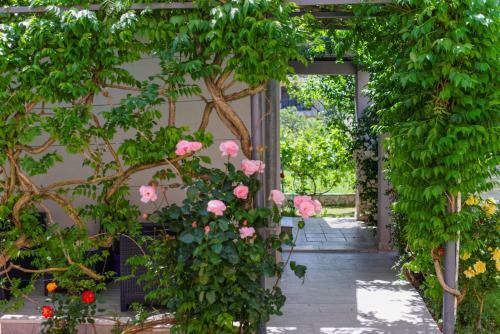 Holiday Home & Apartments Primavera