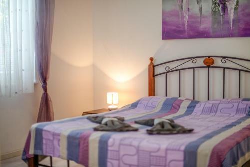 Holiday Home & Apartments Primavera