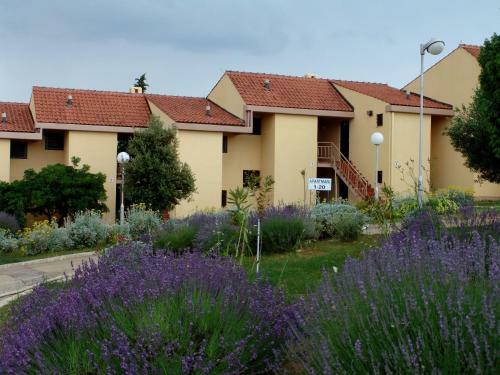 Apartments Tisno Hostin