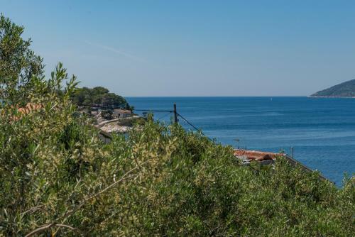 Apartmani Ivona