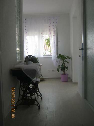 Apartment Tisno 11313a