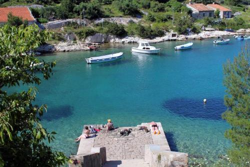 Apartment Mali Losinj 2198d