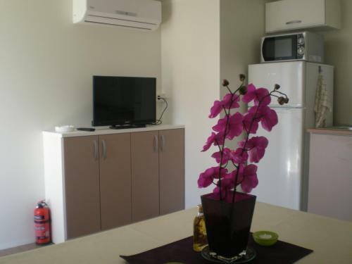 Mobile Homes Relax Park Umag
