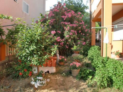 Apartments Bene